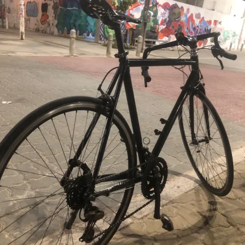 Bike speed