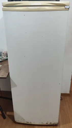 Geladeira Electrolux 270 Litros (Degelo Manual) - Gela Muito Bem / Detalhes Estéticos