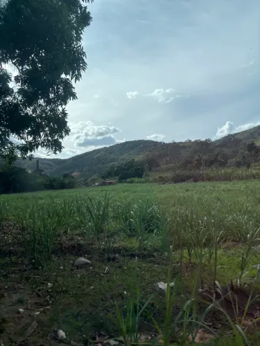 Vendo Terras em Mulungu e Aratuba! Diretamente com proprietário! 