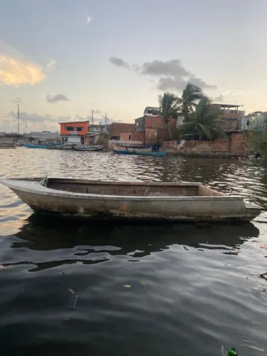 Lanchinha de fibra