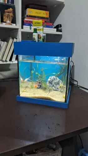 Vendo aquário