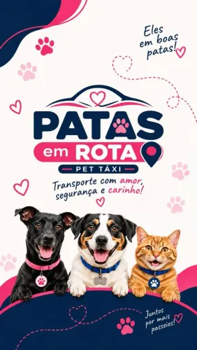 Táxi DOG, TÁXI PET . TRANSPORTE COM SEGURANÇA CONFORTO E CARINHO