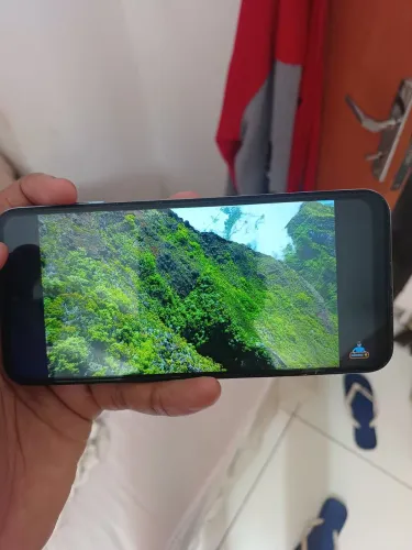 Moto G31