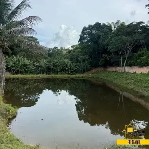 Fazenda Ouro Verde - Região de Uruçuca - 84 Hectares