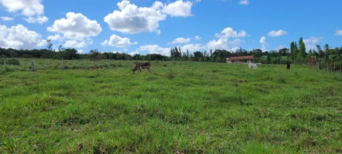 Vendo Terreno plano 30x80m =2.400m²