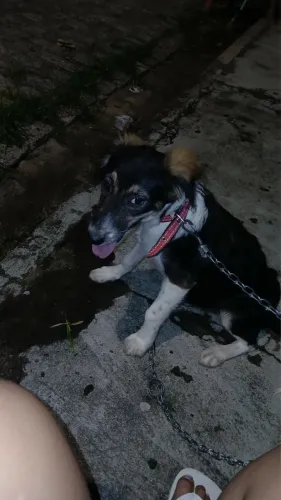 PARA DOAÇÃO 