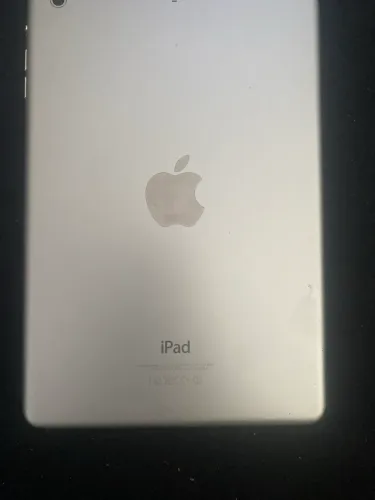iPad mini 2