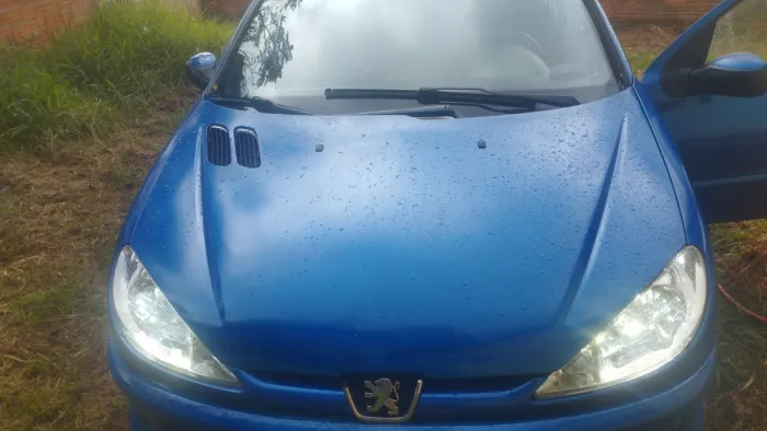 Peugeot 206 Allure 1.6 Flex 16V 5P 2007