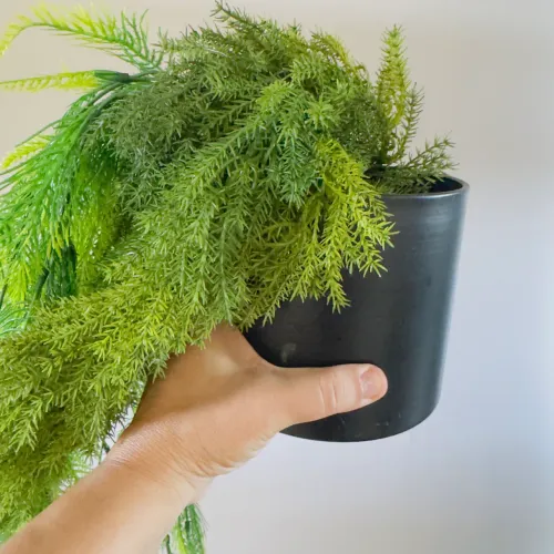 Planta Artificial Pendente com Vaso Decorativo - Pronta para Decorar