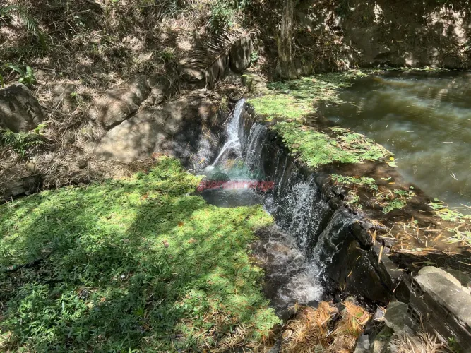 BALEARIO A VENDA EM PACOTI COM RIO PERENE