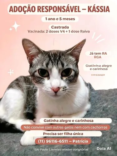 Kàssia para adoção responsàvel