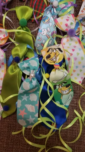 58 gravatas pet e 41 bandanas
