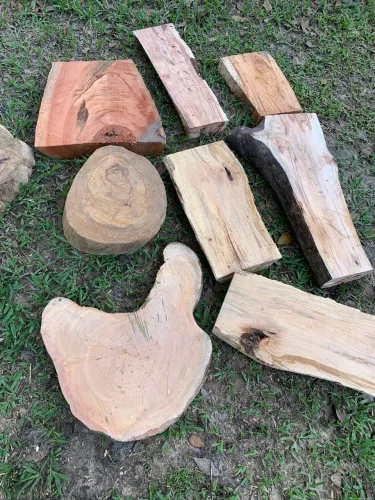 Lote de madeiras pra artesanato