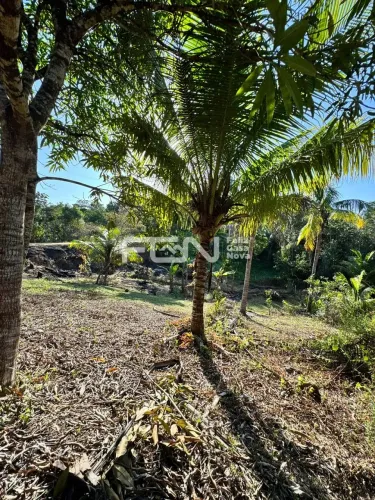 Terreno padrão à Venda, Barra do Pojuca (Monte Gordo), Camaçari, BA