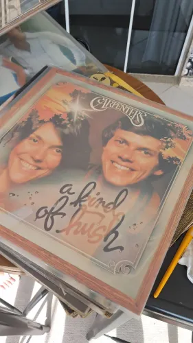 Discos de vinil variados