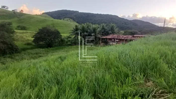 Ótimo sítio com 6 hectares e água em abundância em União dos Palmares - AL