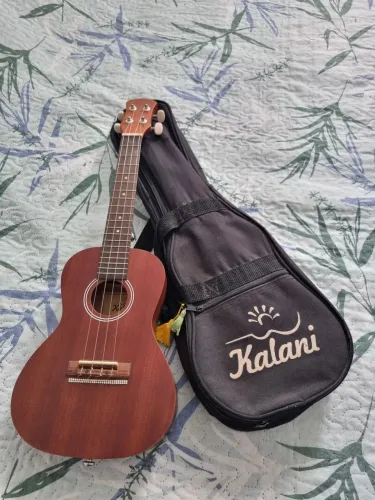 Ukulele Kalani 4 Cordas + Bag - Ótimo Estado