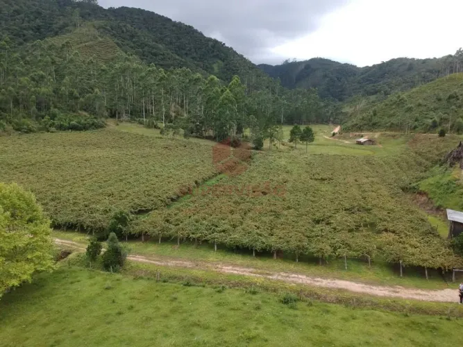 Chácara à venda 3,937 m² - Pinheiral - Major Gercino/SC