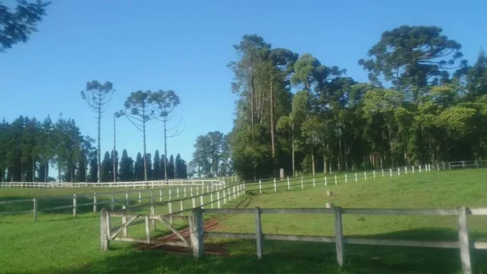 São José dos Pinhais,Haras cinematográfico, 20 Baias, 171.520m², 4 qtos, 2 suítes, à venda