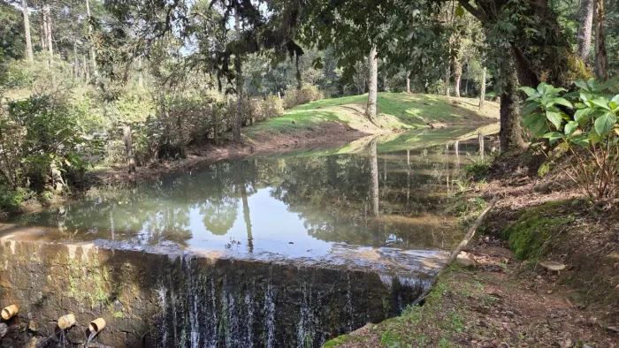 TERRENO RURAL em CAMPO ALEGRE - SC, Lavrinha