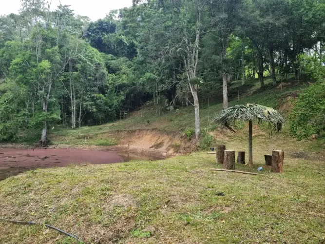 Sítio para venda possui 363000 metros quadrados em Centro - Guapiara - SP