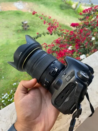 Canon 60D + Sigma 17-50 f2.8 + 55-250 f4
