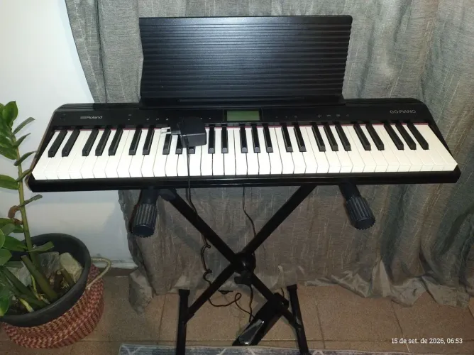 Go piano rolamd acompanha pedal