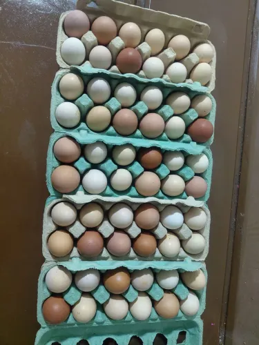Ovos caipira 