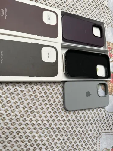 Case