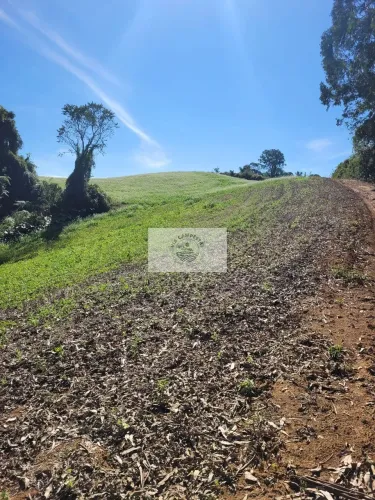 Sítio com 81.949 m², escriturado, aceita permuta, apenas 1.500 metros do asfalto