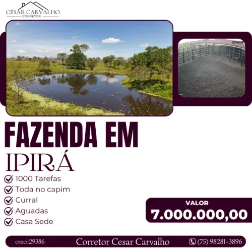 FAZENDA EM IPIRÁ - 1000 TAREFAS