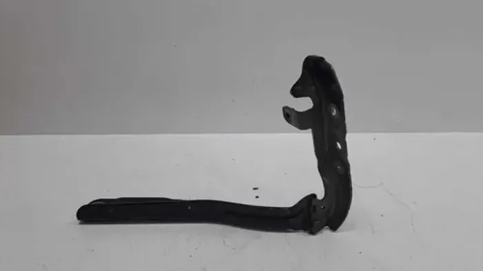  Citroen Ds5 1.6 Thp 2015 Dobradiça Capo Par