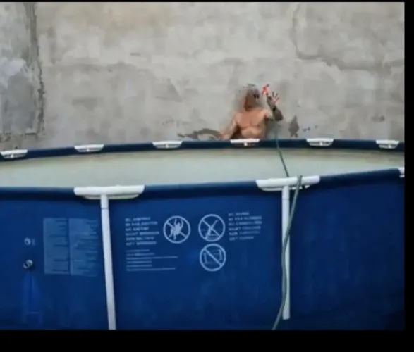 Piscina com rasgos, capa, escada, acessórios