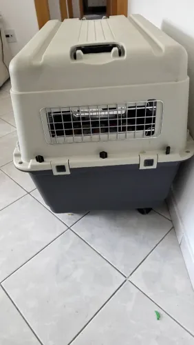 Caixa de transporte cachorro