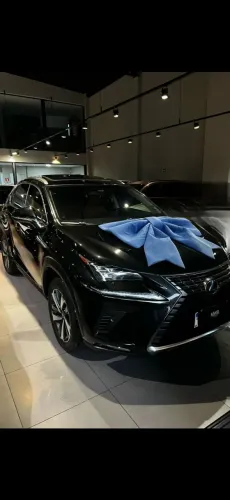Lexus NX-300 H Luxury 2.5 16V Aut. 2019