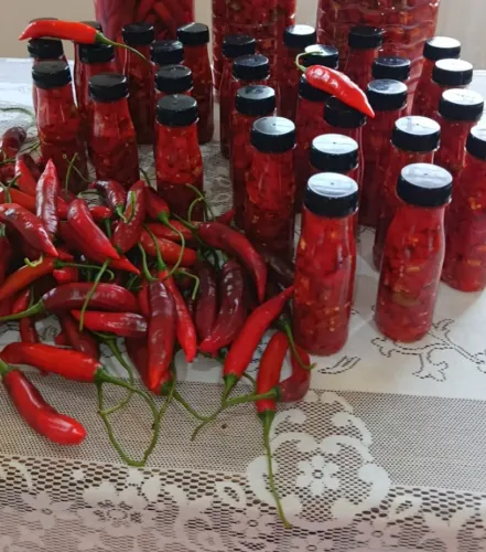 250 Gramas de Pimenta Dedo de Moça em Conserva A VERDADEIRA (Capsicum Baccatum)