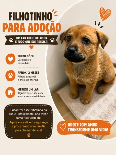 Doação 