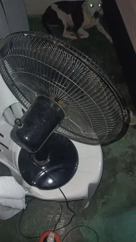 Ventilador wanke