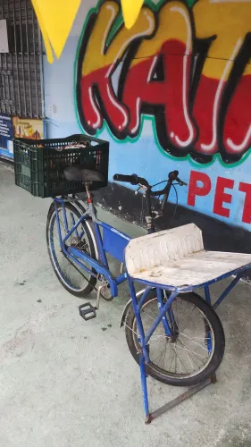 Bicicleta Cargueira