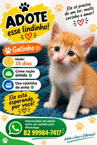 Para adoção
