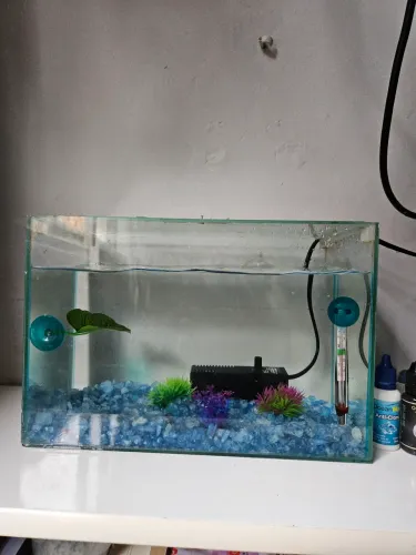 Aquário - 20L + Bomba + Pedras + Sifão + Decorações- Completo, pronto para uso