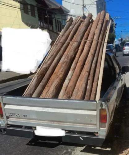 Escoras de Eucalipto