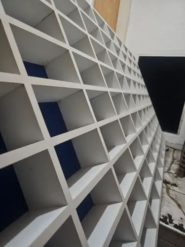 ORGANIZADORA DE CARRINHOS