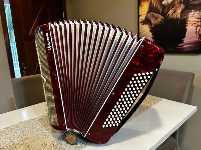 Acordeon/gaita/sanfona