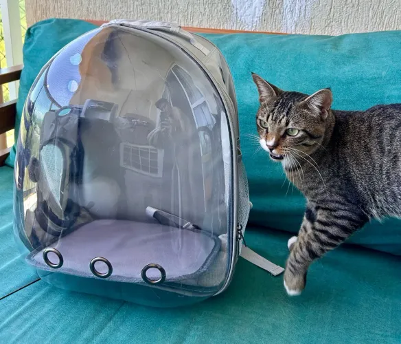 Mochila pet (gato ou cão de pequeno porte)
