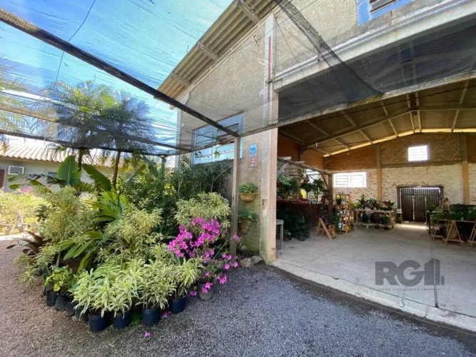 Galpão/Depósito/Armazém em Restinga