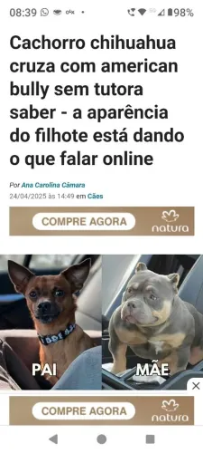 Aluguel de carro para aplicativo