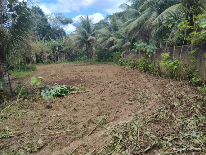 VENDE-SE CHÁCARA PARA FINS RESIDENCIAL OU COMERCIAL, RUA PAVIMENTADA.