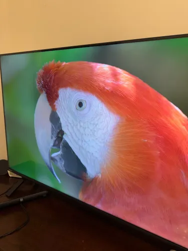 Tv 50 Toshiba