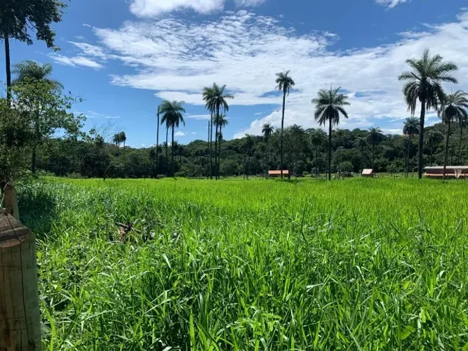 Terreno rural de 5.000 m² cercado, fácil acesso, faz parte da Estrada Real, rio nos fundos